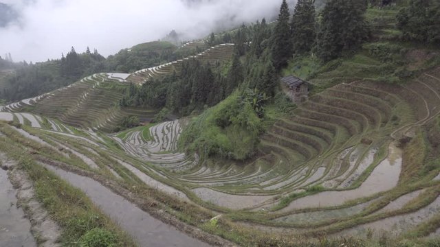 Rice terrace of Ping an China