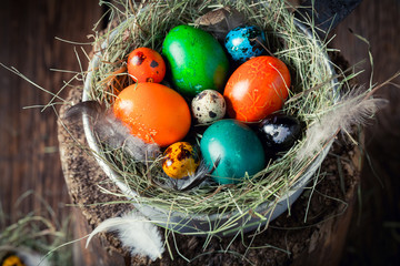 Closeup of colorful Easter eggs with hay and feathers