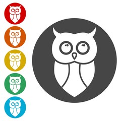 Owl icon, Owl logo, Owl illustration 