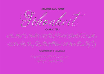 Modern calligraphic font. Brush painted letters.