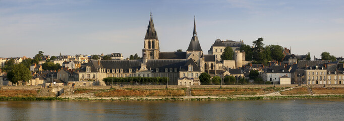 France, Blois, view to the city with Saint-Louis Cathedral