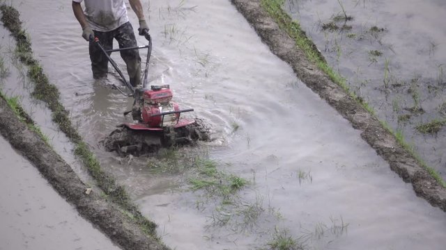 Chinese rice farmer using modern machinery