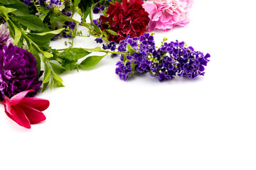 variety of colorful flowers on a white background isolated with copy space