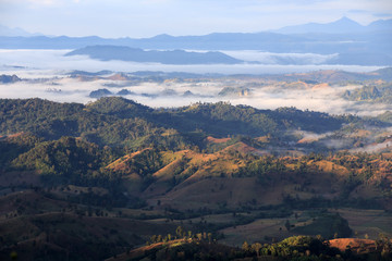The mist moving across green forest and mountain.