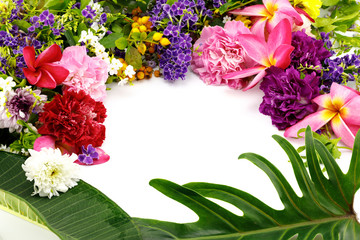 variety of colorful flowers on a white background isolated with copy space