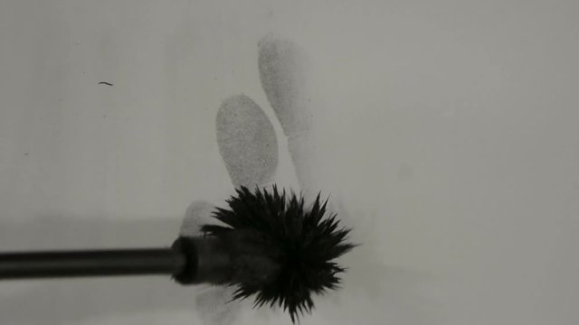 Fingerprints, magnetic powder applicator develops latent print on white paper