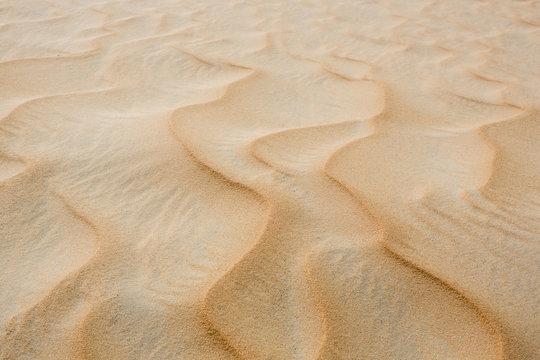 UAE, Rub' al Khali, ripple marks in the desert sand, close-up