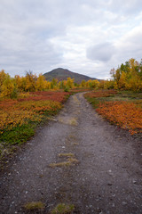 Abisko national park in autumn