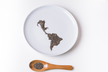 Chia seeds on plate shaped like a map of Latin America with wooden spoon