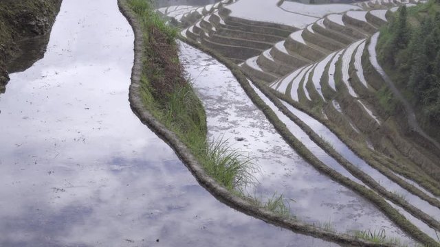 Sky reflected in water filled rice paddies
