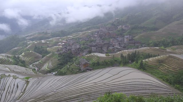 Slow pan of the steep rice paddies hillside