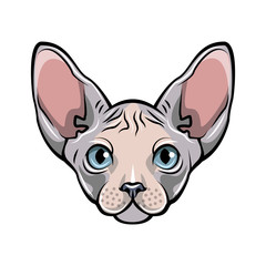 Colorful illustration of a cat s face. White Sphynx hairless cat.