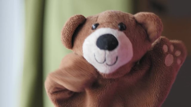 hand puppet, teddy bear