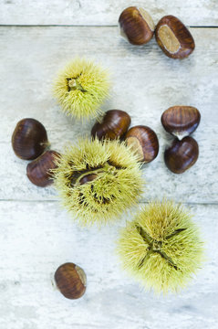 Sweet chestnuts