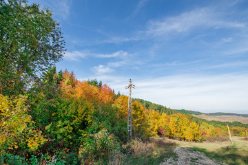 Vibrant colored trees at mountainside next to a serpentine road in mountains and electricity poles in a row in late autumn. Beautiful nature, colorful autumn background with blue sky 
