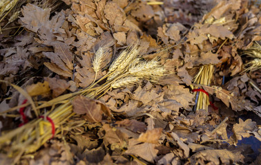 serbian christmas-Badnjak-Yule-log,grain and straw