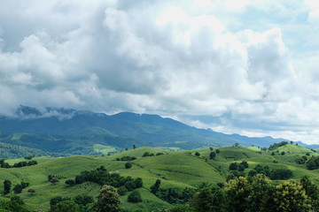 the mountains that full of corn field