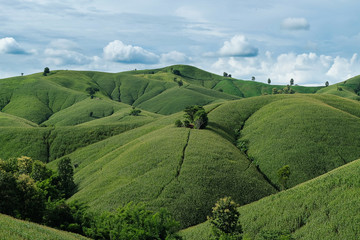 the mountains that full of corn field