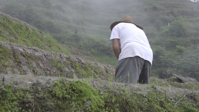 Chinese rice farmer preparing the soil