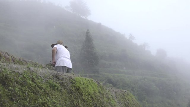 Chinese farmer works soil on a foggy morning