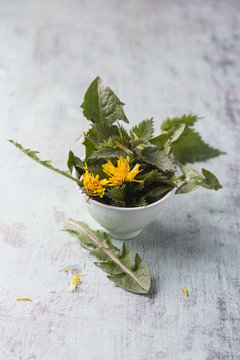 Bowl of nettles and leaves and blossoms of dandelion
