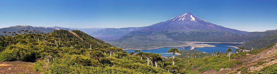 Fototapeta na wymiar Volcano Llaima at Conguillio N.P. (Chile) - panoramic view