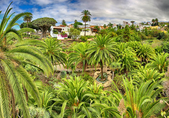 Panoramic view of Parque del Drago in Icod de los Vinos (Tenerife, Canary Islands)