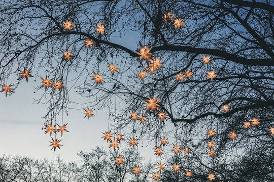 Decoration of paper stars on trees