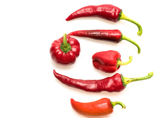 Agriculture and fresh food concept. Chili peppers of red color