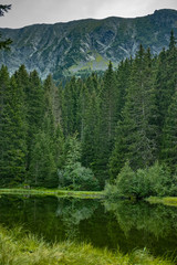 Small forest lake in Alpen mountains, place for relaxation and tranquil vacation