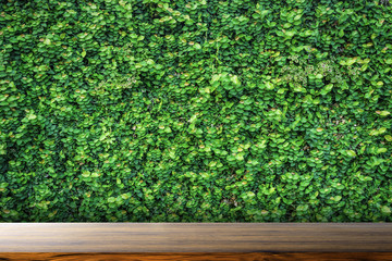 Fototapeta na wymiar tabletop with green plant nature background