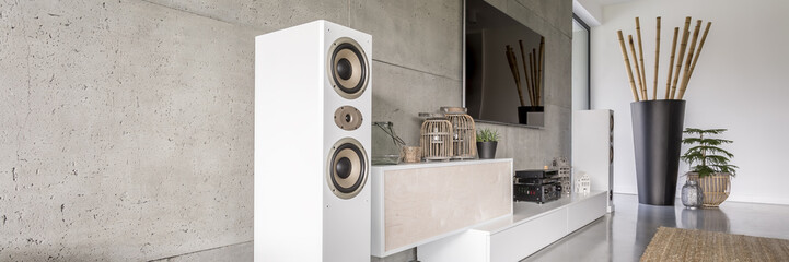 White loudspeaker in modern living room