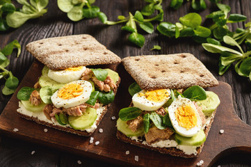 Tuna salad sandwiches with eggs and cucumbers.