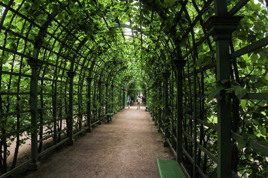 A long green tunnel.