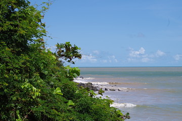Obraz premium Île aux singes 