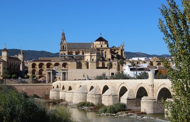 Beautiful view of the Mezquita and the Roman bridge / Cordoba, Andalucia, Spain