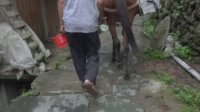 Horse struggles up walkway on Guilin Ping an hillside