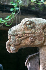 Fototapeta na wymiar Head of Mayan statue