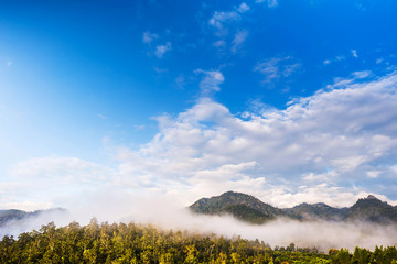 Morning fog from Yun Lai Viewpoint, in Pai town, Mae Hong Son province, Thailand