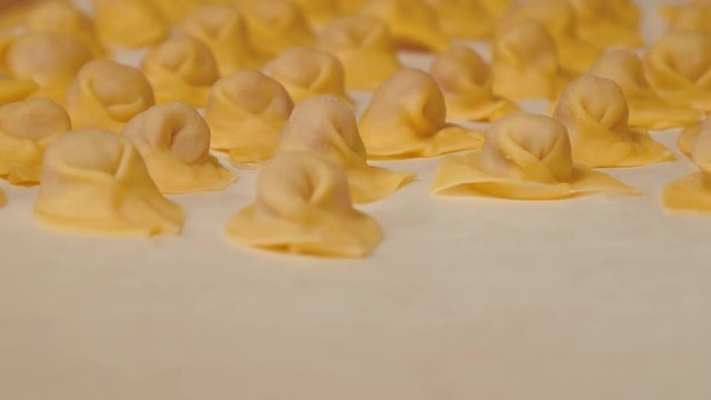 Tortellini, traditional italian handmade dish, 4K