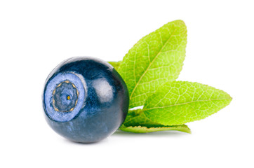 Blueberry isolated on white background
