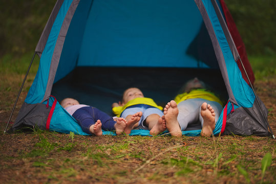 happy children hiking in the forest