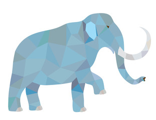 Vector polygonal illustration of elephant. Isolated on white background