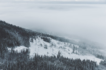 Snowy foggy mountain