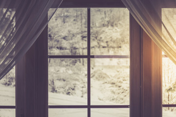 Window and snowy nature