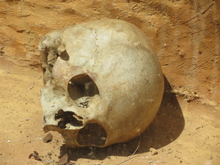 Calavera skull indigena