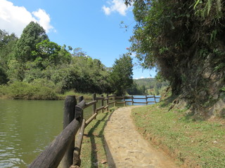 Cerca de madera en lago