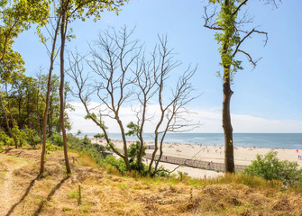 Beach in the Yantarny. Kaliningrad region. Russia