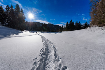 Path with footprints of snowshoes in the snow in the mountains towards the forest. Land covered by snow. Sunny day