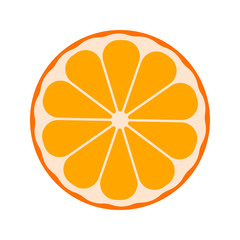 Fototapeta na wymiar vector citrus fruits: lemon, lime, tangerine, orange, grapefruit